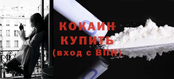 дживик Наволоки
