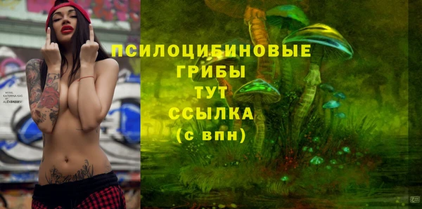 тгк Киреевск