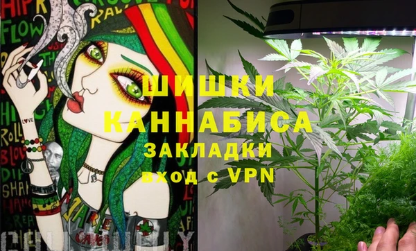 apvp Семилуки