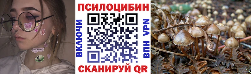 Псилоцибиновые грибы Psilocybine cubensis Красково